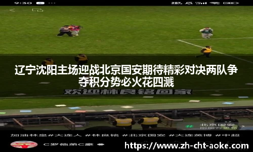 辽宁沈阳主场迎战北京国安期待精彩对决两队争夺积分势必火花四溅